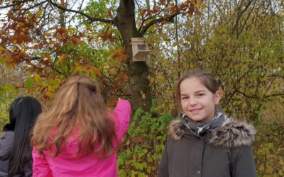 Eichhörnchen willkommen!