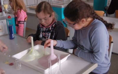 Forschen wie die Großen: Junior Lab 19
