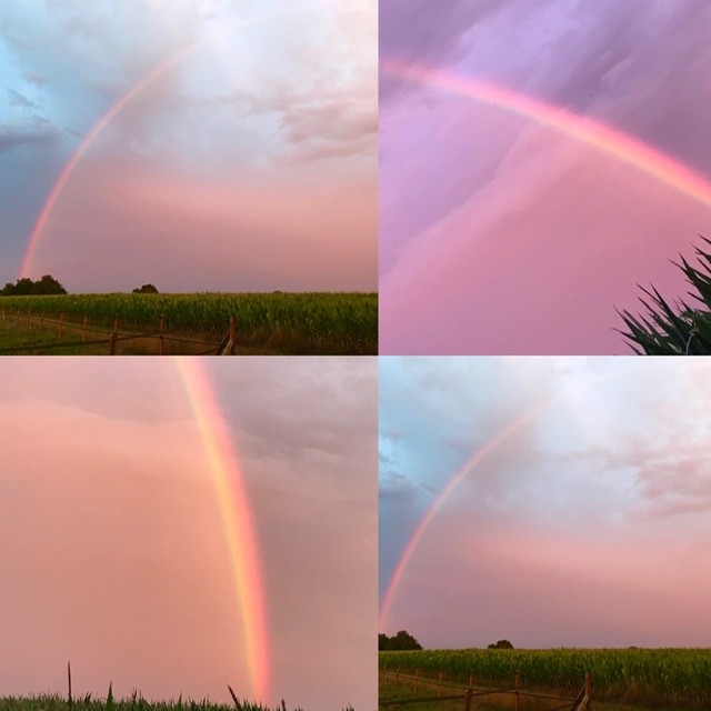 Entfall des Präsenzunterrichtes am 12.01.2026