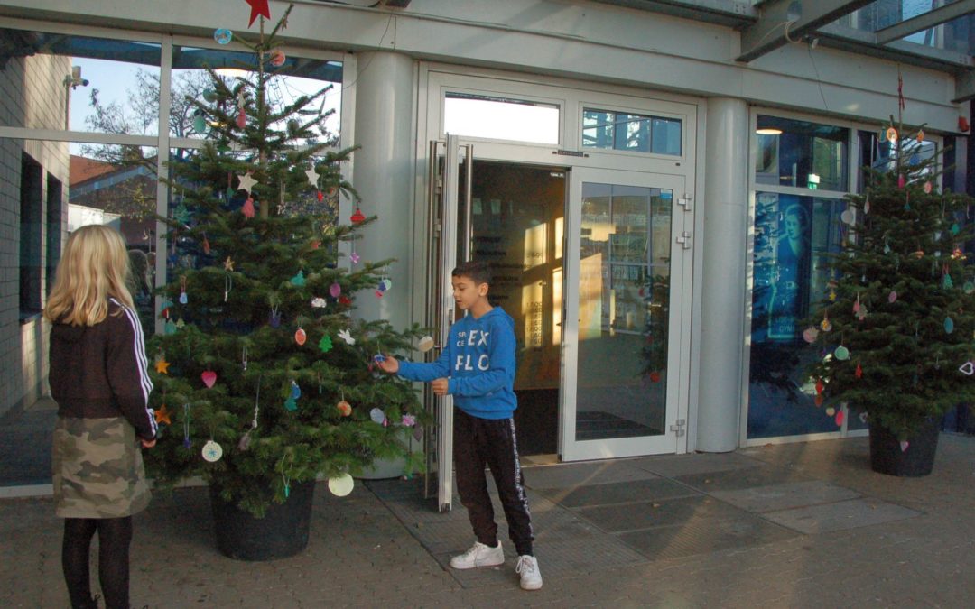 Weihnachtsbäume in liebevolle Hände abzugeben!