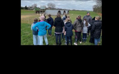 5. Klasse zu Besuch auf dem Stautenhof